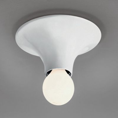 Teti Wall/Ceiling Light by Artemide - Starlight Lighting USA and Canada